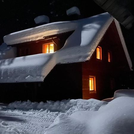 Digital Detox Chalet Pokljuka Goreljek ภายนอก รูปภาพ