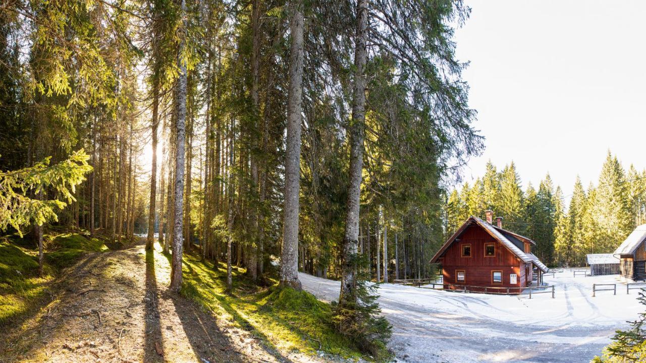 Digital Detox Chalet Pokljuka Goreljek ภายนอก รูปภาพ