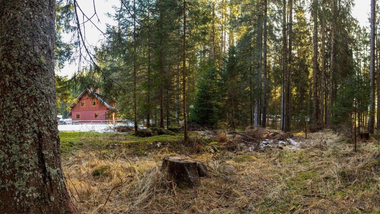 Digital Detox Chalet Pokljuka Goreljek ภายนอก รูปภาพ
