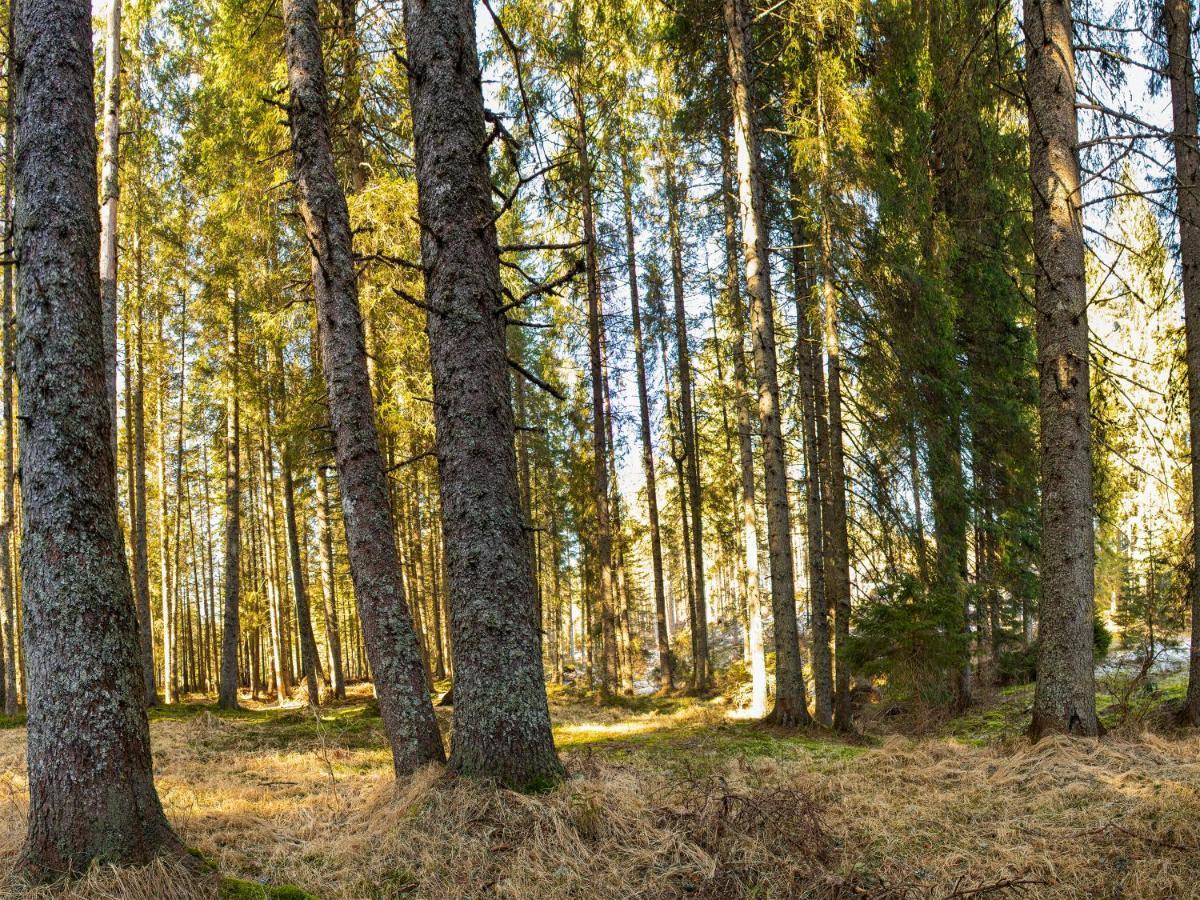 Digital Detox Chalet Pokljuka Goreljek ภายนอก รูปภาพ