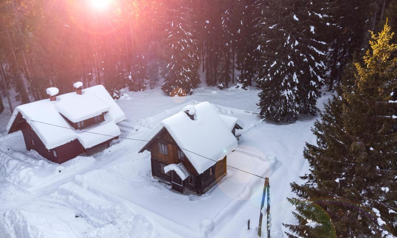 Digital Detox Chalet Pokljuka Goreljek ภายนอก รูปภาพ