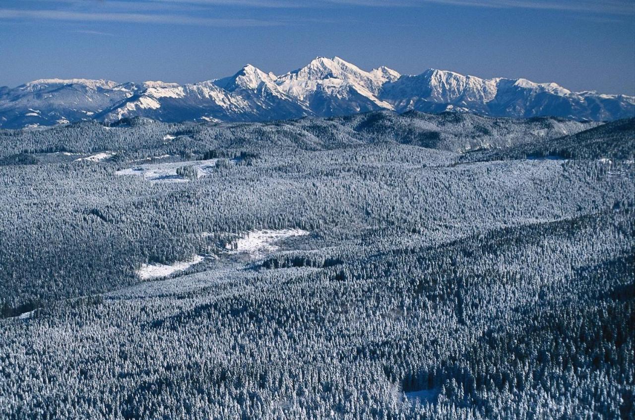 Digital Detox Chalet Pokljuka Goreljek ภายนอก รูปภาพ